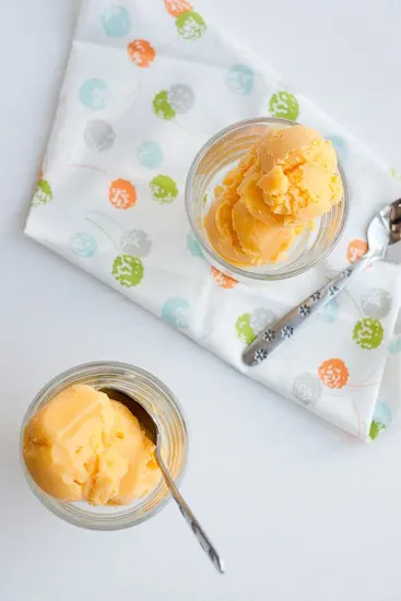 10 Delicious Sorbet Recipes for An Ice Cream Maker - Homebody Eats