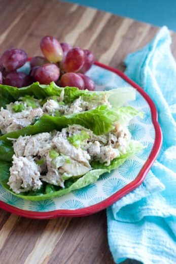 Easy Rotisserie Chicken and Apple Salad - Perry's Plate