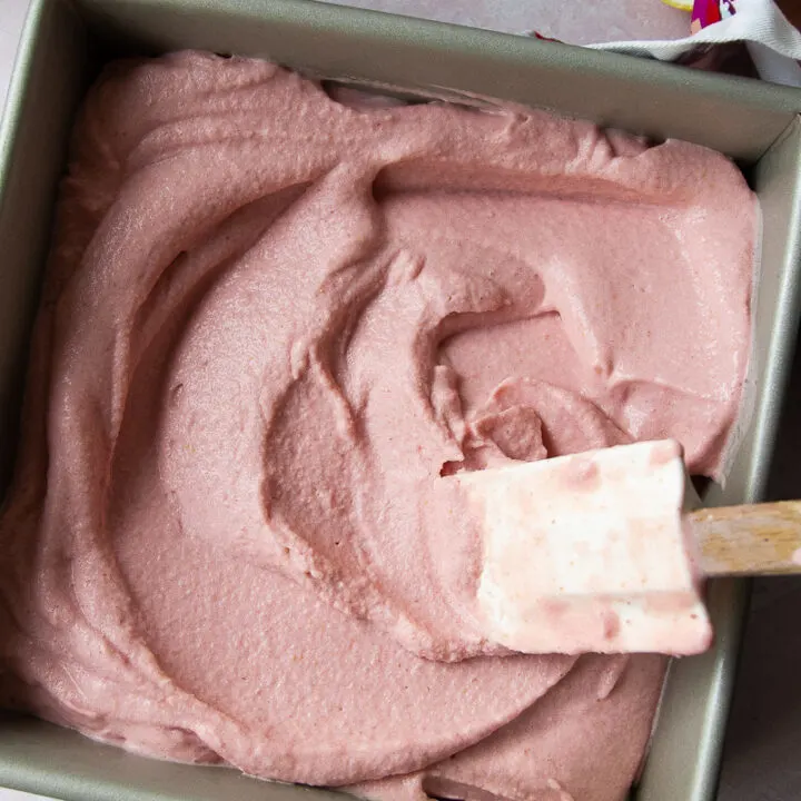 Raspberry Sorbet (In the Blender)