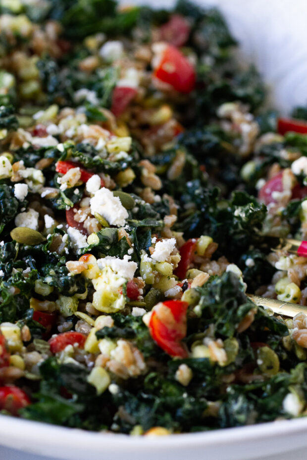 Close up of the mixed Farro Salad.