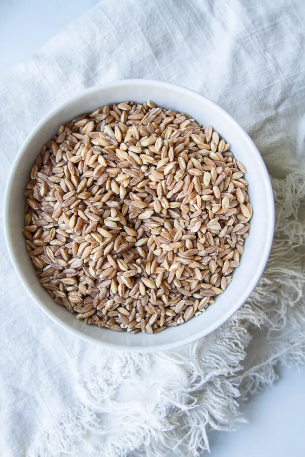 A bowl of uncooked farro grains.