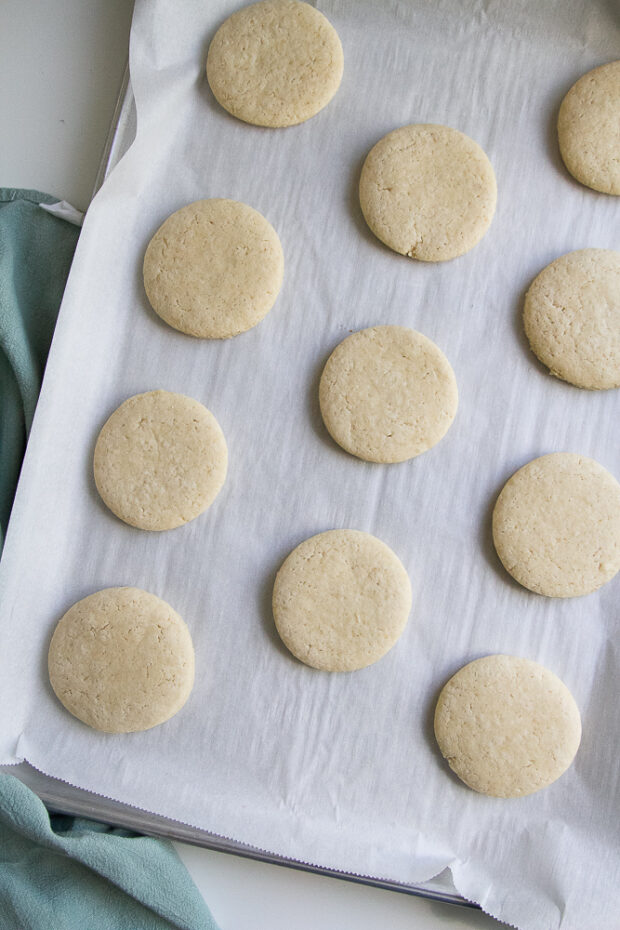 Baked round sugar cookies on a sheet pan.