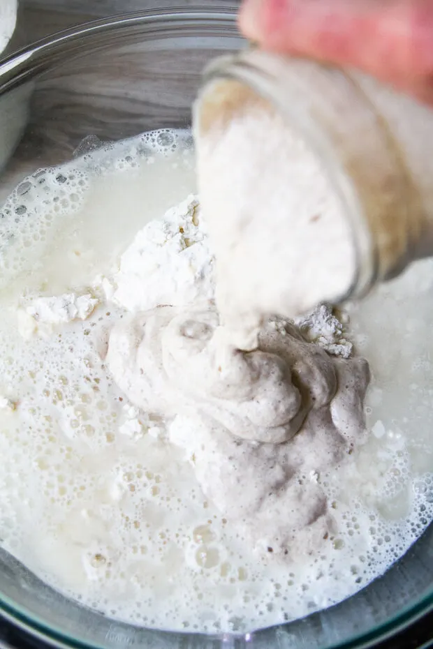 Sourdough started poured into the bowl with the flour and water. 